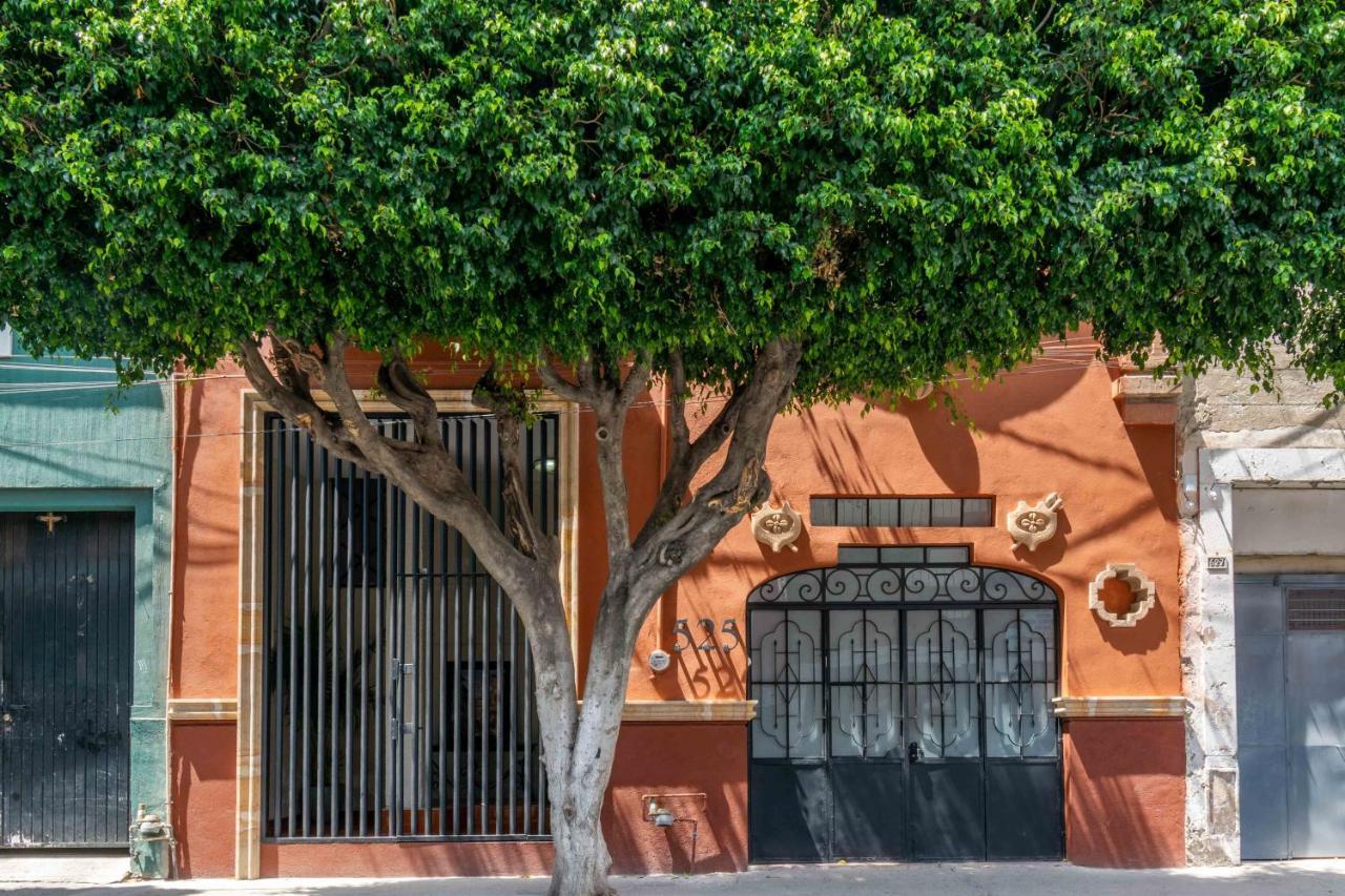 Hosteria Casa Marquez León Dış mekan fotoğraf